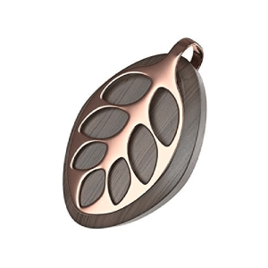collar inteligente imagen collar inteligente