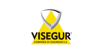 Visegur