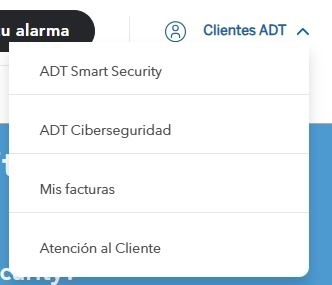 adt-clientes-nuevo