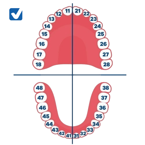 precuio curetaje dental por cuadrante