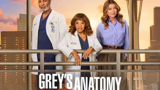 Anatomía de Grey temporada 22